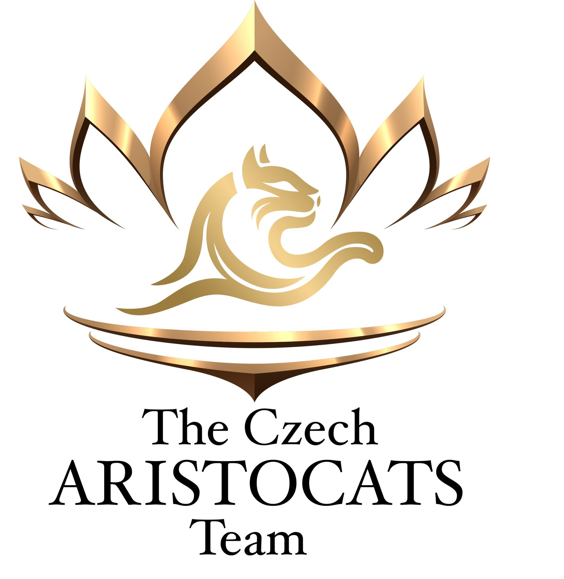 SO The Czech Aristocats Team